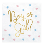 Preview: Servietten - Boy or Girl - 33cm x 33cm
